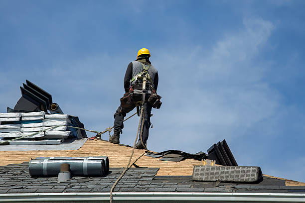 Professional Storm Damage Roof Repair technician working in Ellisville, IL
